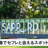 札幌でセフレが出来るスポット13選!女性がセックスの手順を解説