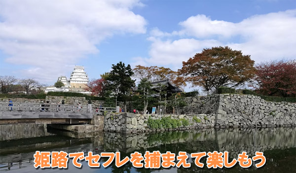 姫路でセフレを捕まえて楽しもう
